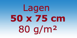Schrenzpapier 80 g/m - Lagen 50 x 75 cm